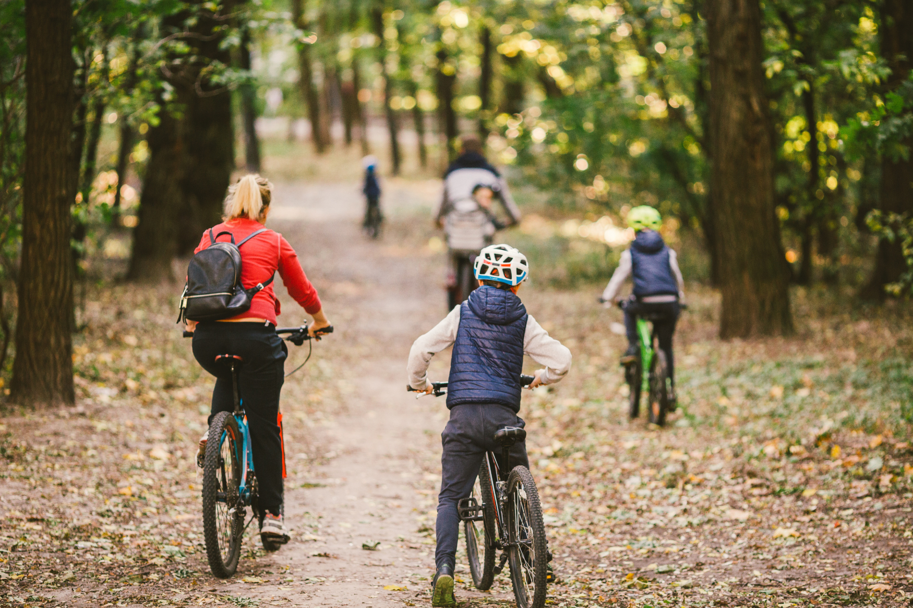 people cycling in woods